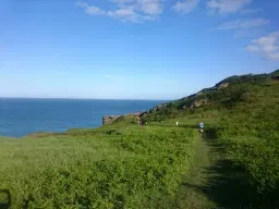 Total Coastal 2026 - 50k - Half Marathon - 10K