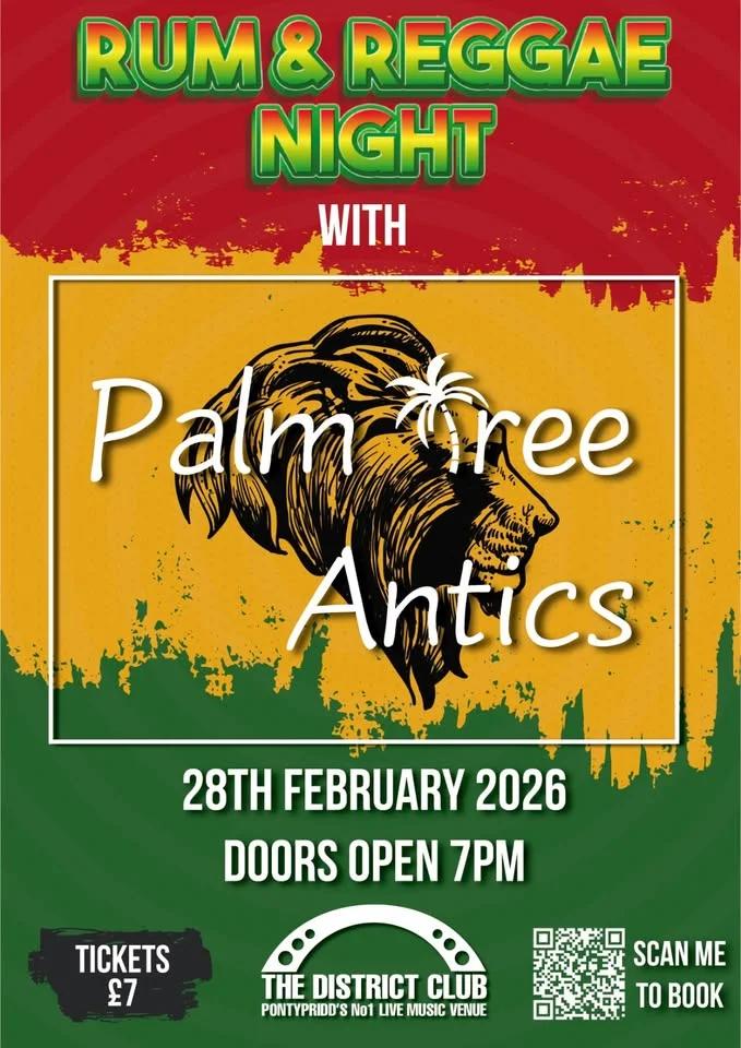 Palm Tree Antics