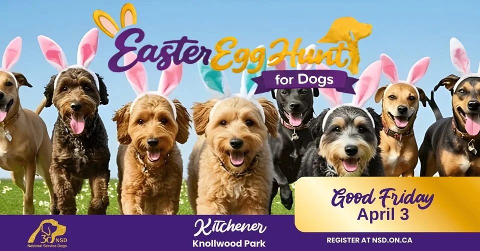 Kitchener NSD Easter Egg Hunt for Dogs