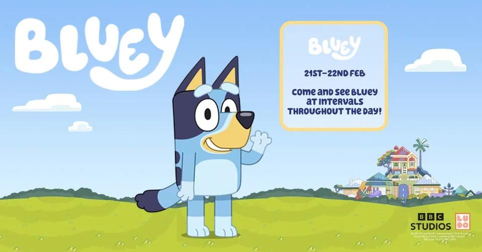 Meet & Greet Bluey at West Midlands Safari Park