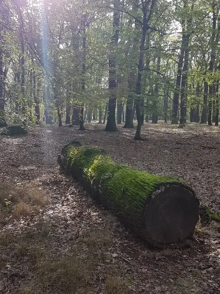 Ultra trail Pražský Kelt 8. ročník