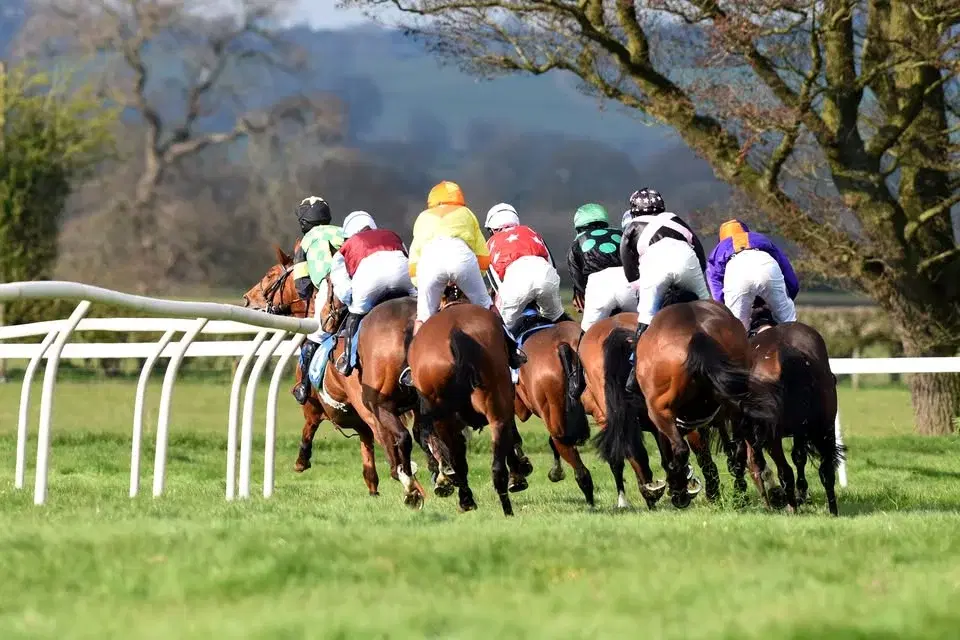 Bitterley Point-to-Point Races 2026