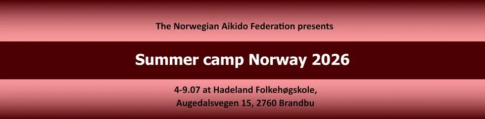 Aikido summer camp Brandbu