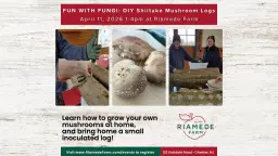 Fun with Fungi: DIY Mushroom Logs