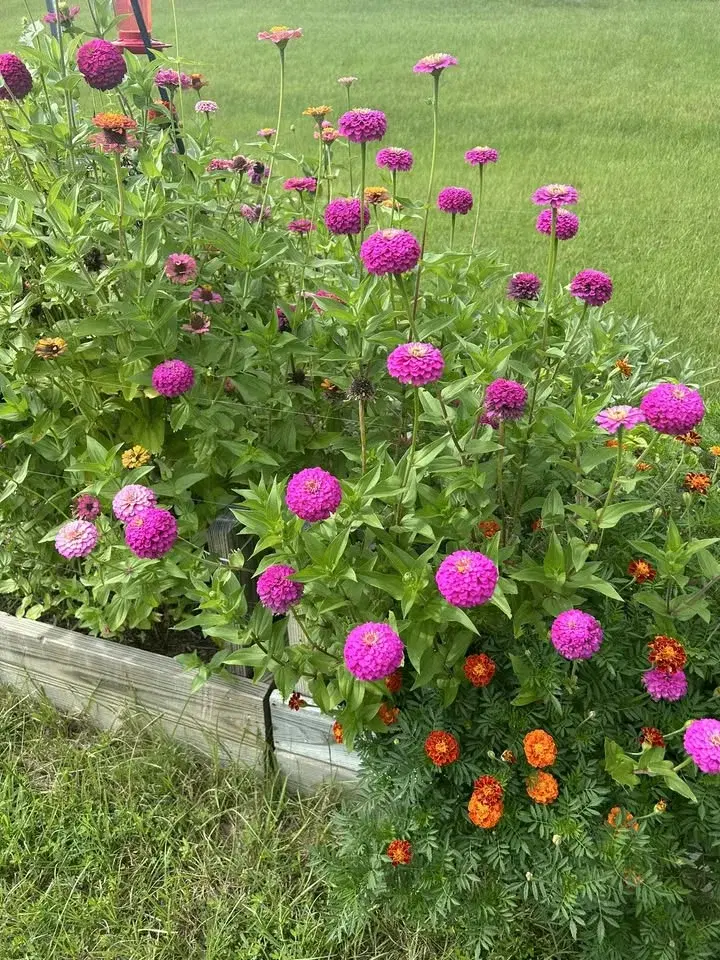 Central Arkansas Homestead Conference