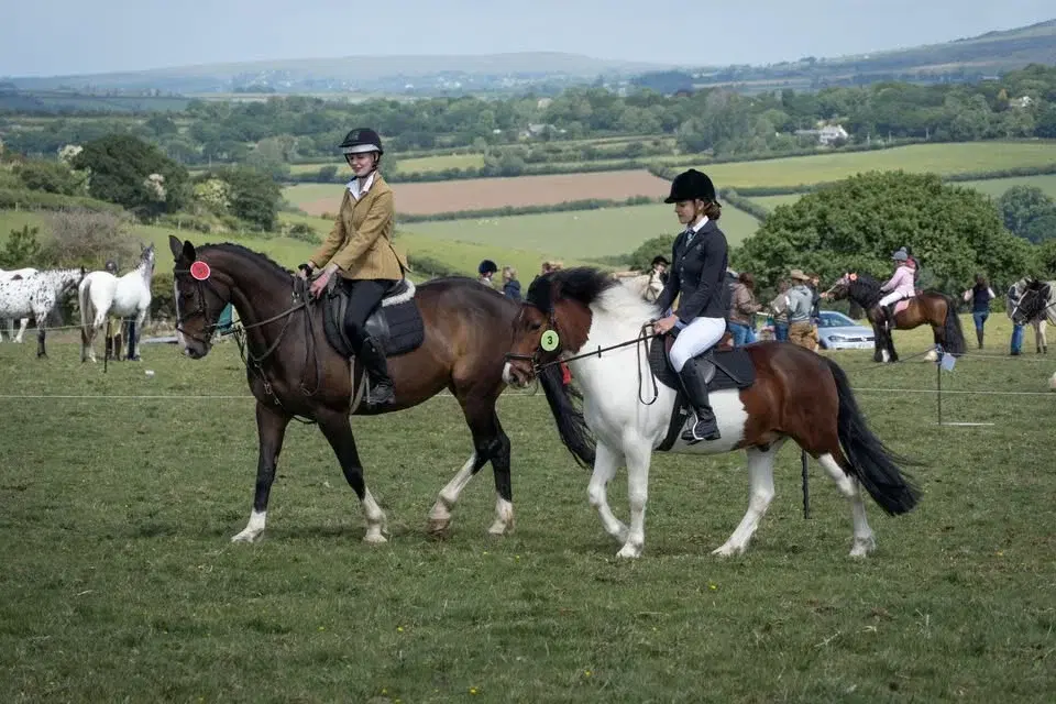 TEEPEE EQUINE EVENTS - Lovaton Spring Fun Horse & Dog Show