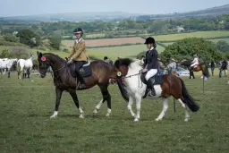 TEEPEE EQUINE EVENTS - Lovaton Spring Fun Horse & Dog Show