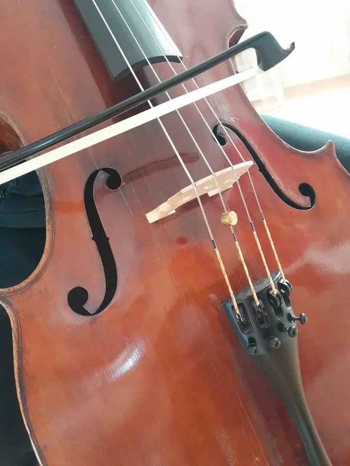 EKERÖ NU: Vårkonsert med Mälaröarnas musiksällskap