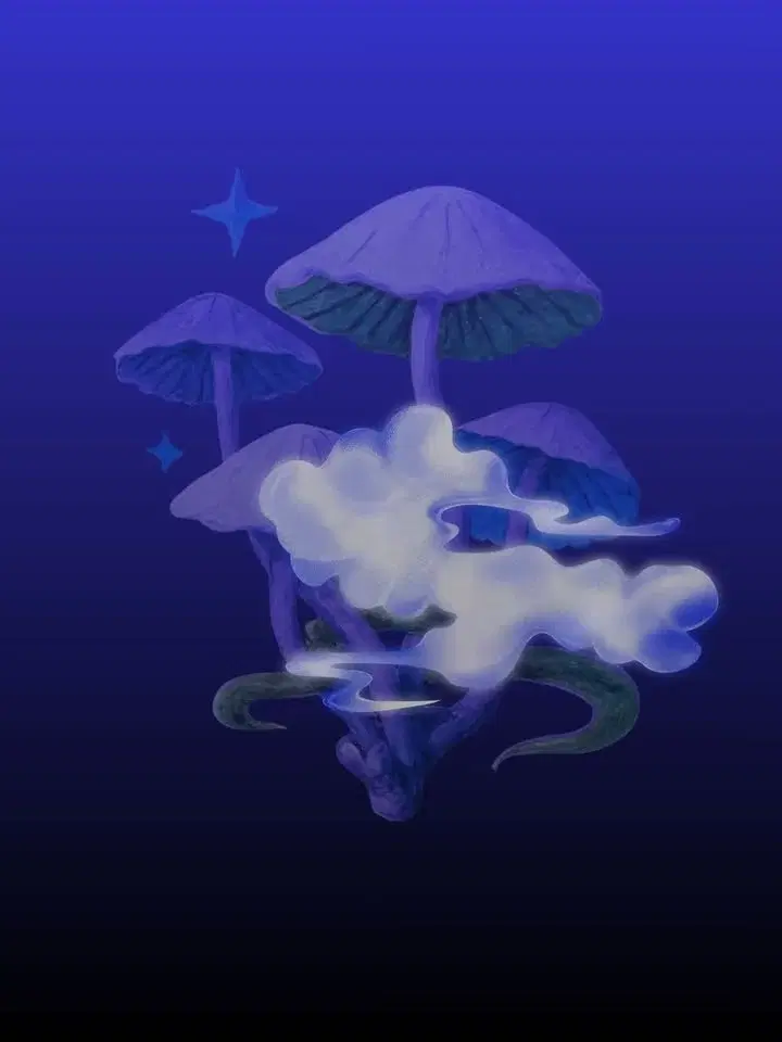 DECIBELLES - WELCOME TO SPRING