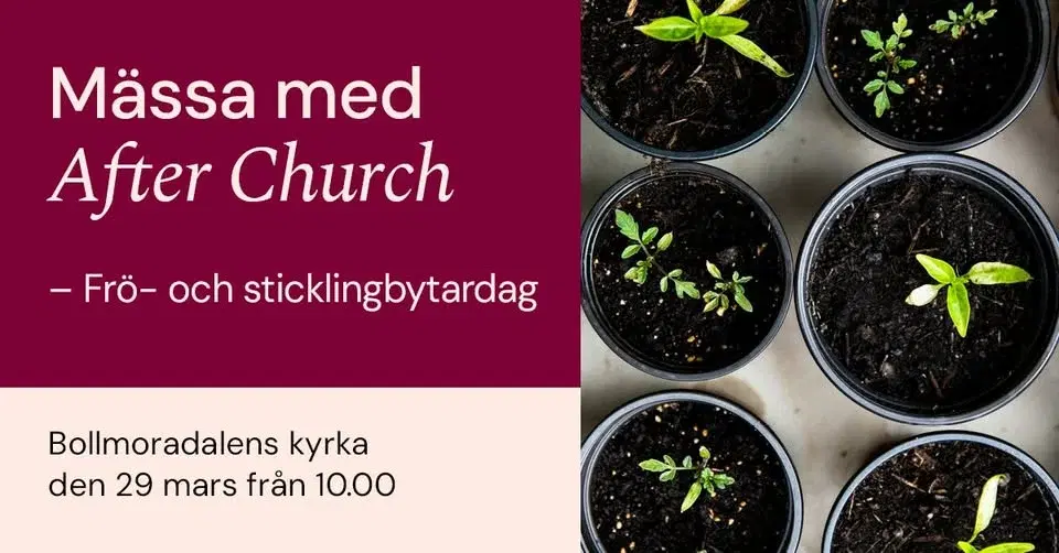 After Church: Frö- och sticklingbytardag