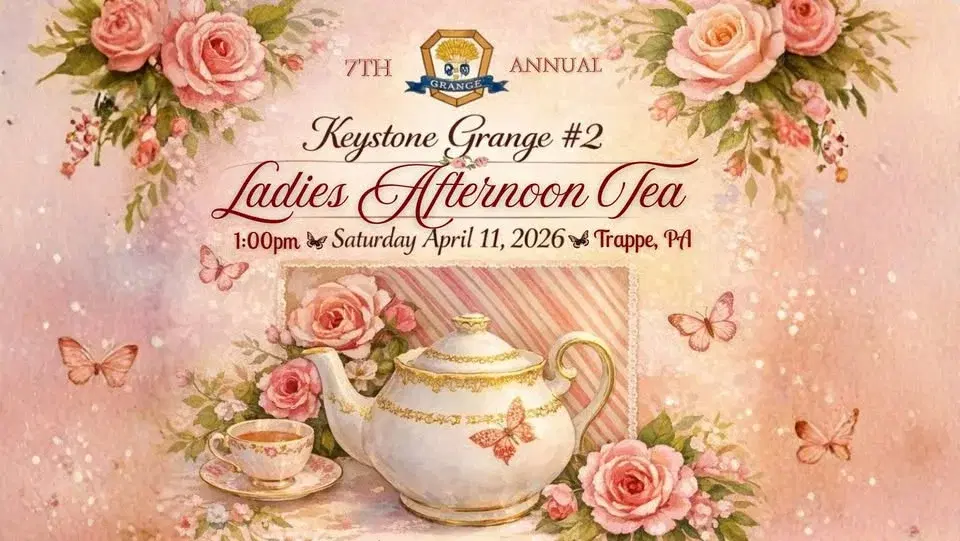 Ladies Afternoon Tea