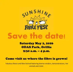 Sunshine Fibre Fest