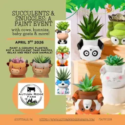 Succulents & Snuggles on the Farm!