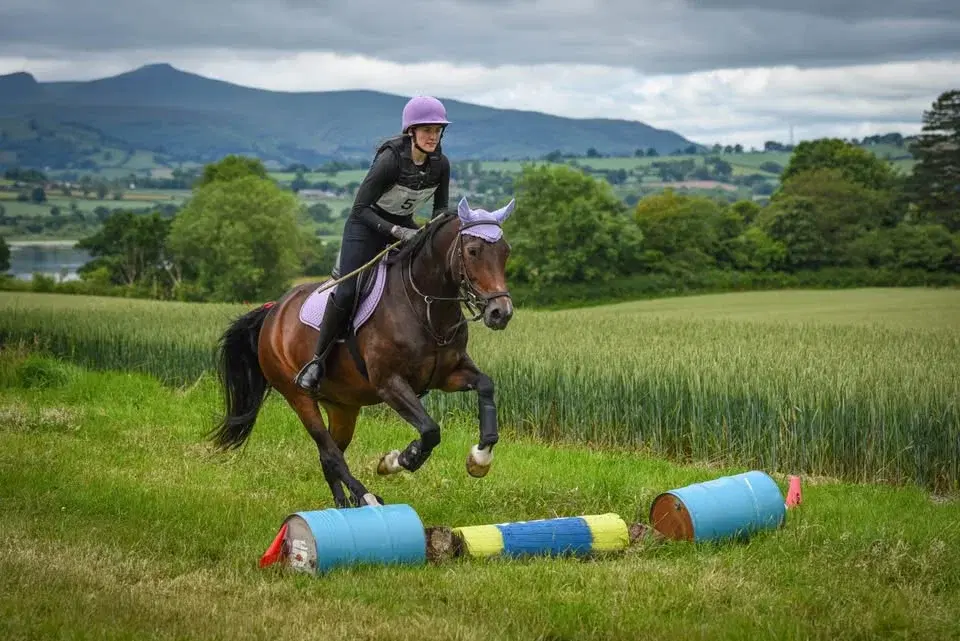 Fun & Informal One-Day Event