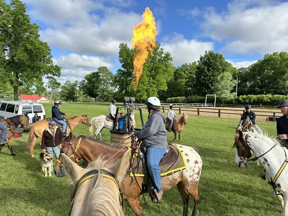 Bill Richey Advanced De-Spooking Clinic and Equine Confidence Course