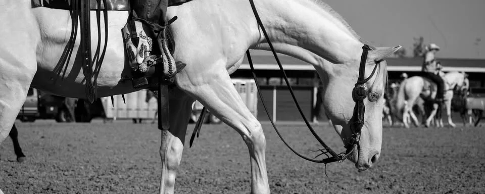 Best Of The West Select Sale & DTG Tagged Out Ranch Rodeo