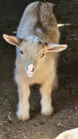 Opening Weekend at the Farm!!!