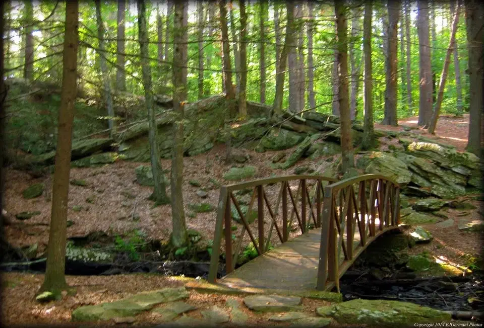 Mowry Farm & Conservation Area Hike