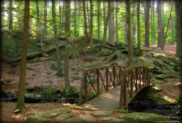 Mowry Farm & Conservation Area Hike