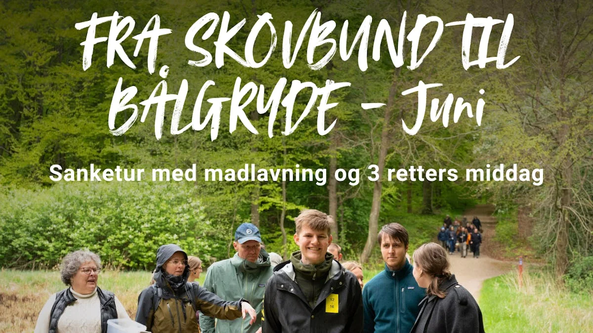 Sanketur med 3-retters middag over bål