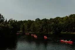 🌷Journée portes ouvertes 🌷