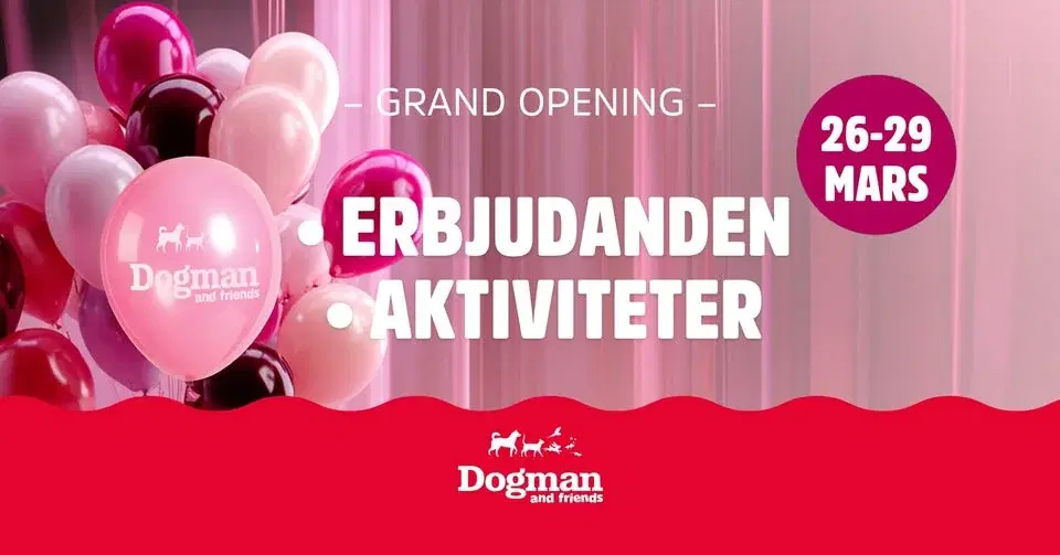 Dogman and friends firar Grand Opening på Nova Lund!🎉