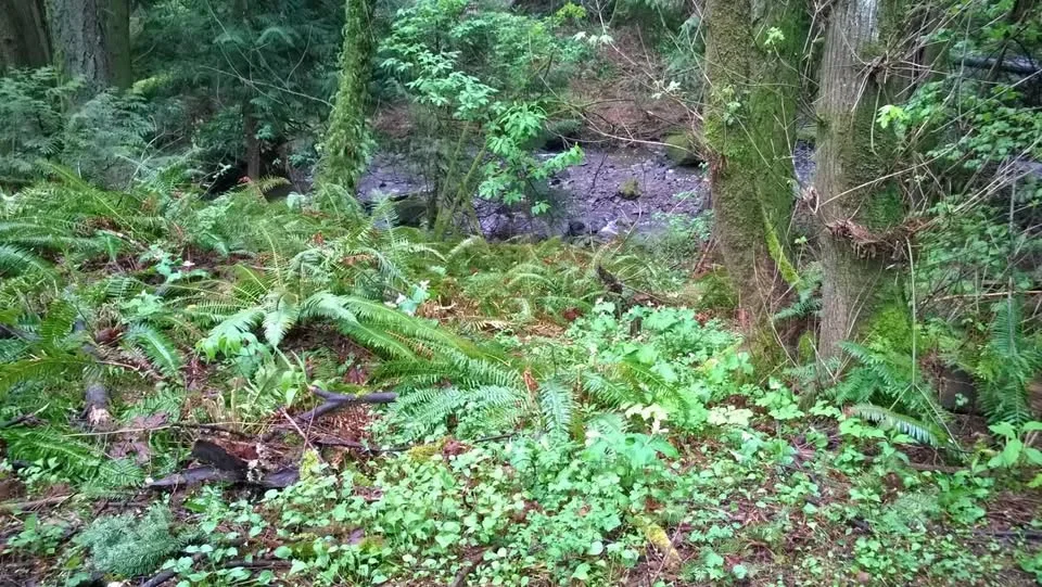 HV Hikers: "Hidden Falls" (moderate)