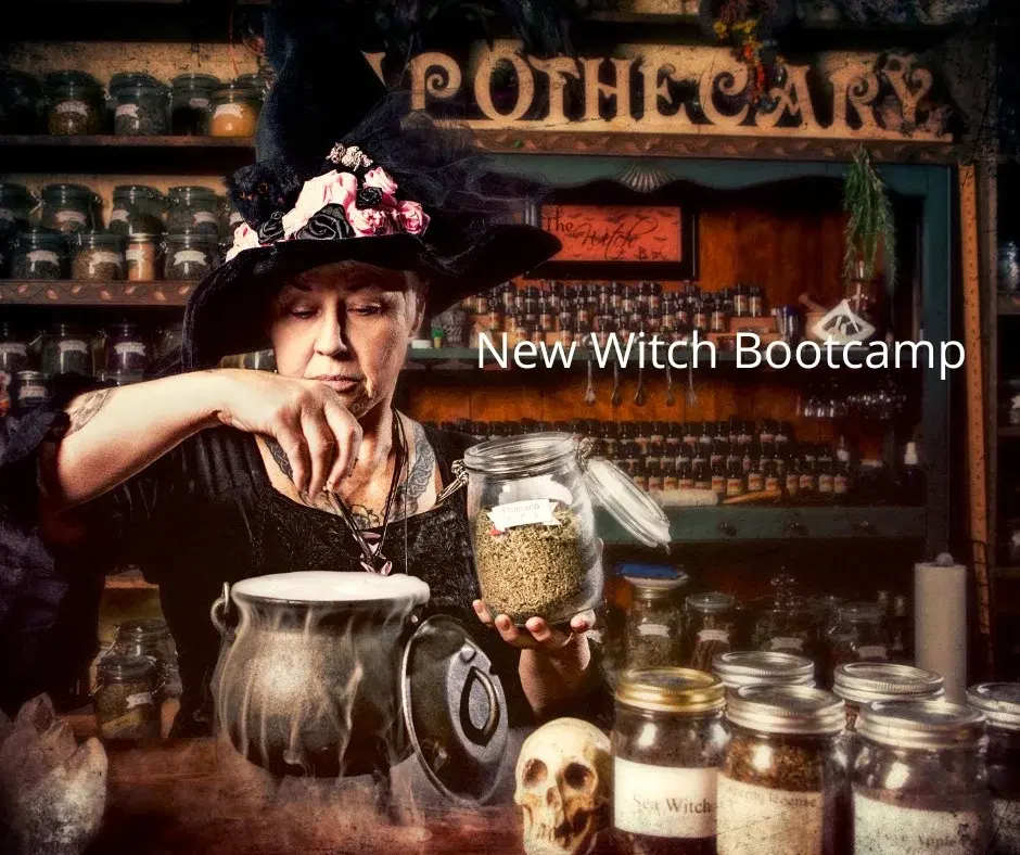 Witch Bootcamp 5