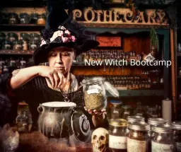 Witch Bootcamp 5