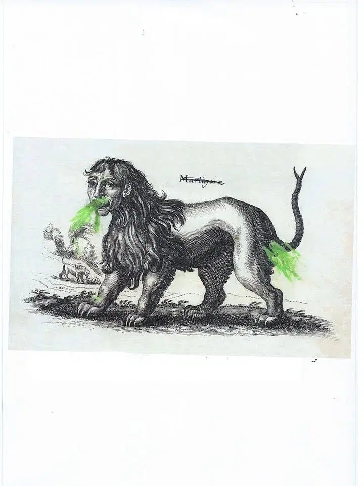 MINT POETRY FESTIVAL 2026