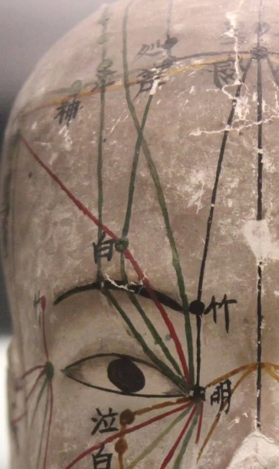 Lördag live i Malmö – 21 februari 2026