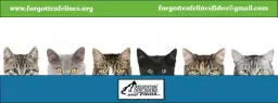Cash Bingo to Support Forgotten Felines and Fidos!