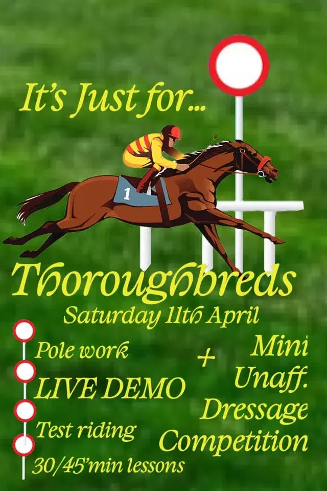 It’s Just for … Thoroughbreds inc PB’s PYO training with Mini Unaff dressage competition & demo