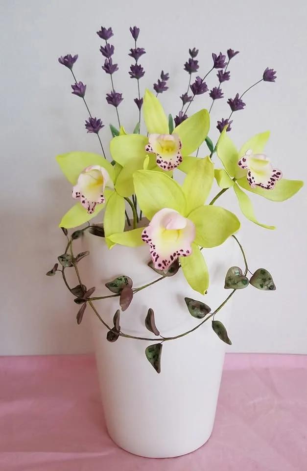 Sockerblomma: Orkidé