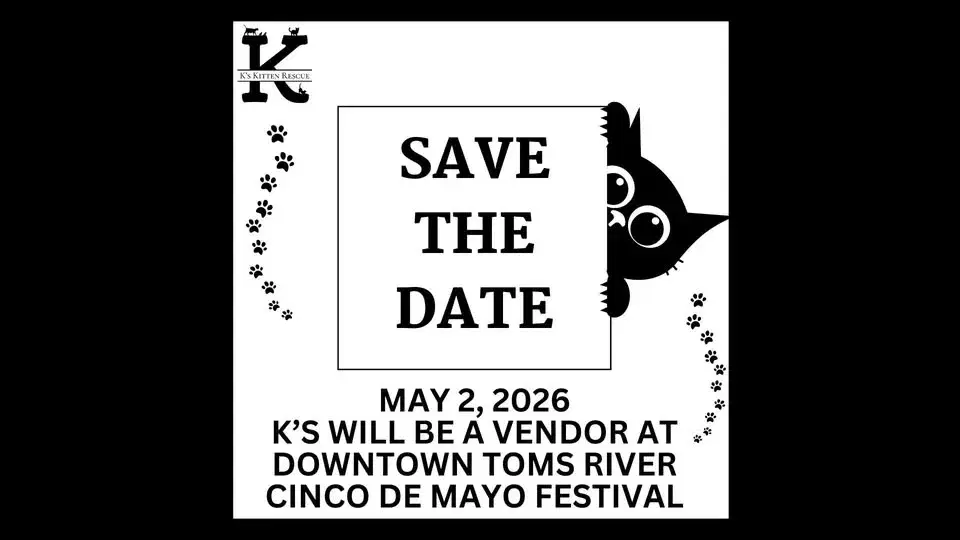 VISIT US at the Downtown Toms River Cinco De Mayo Festival