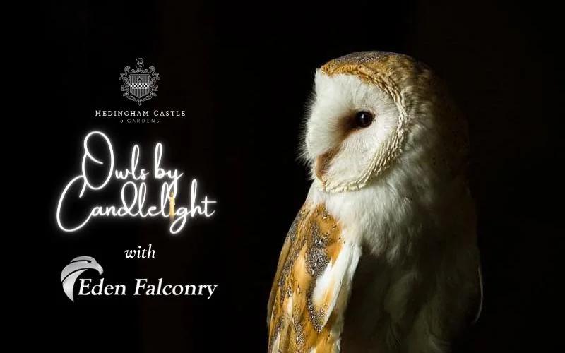 Owls by Candlelight