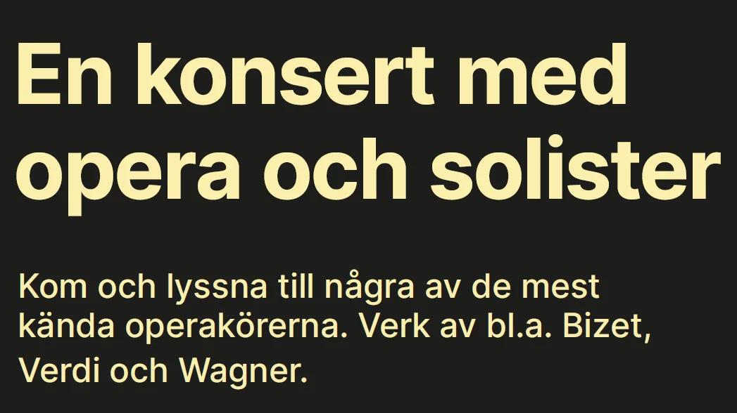 Opera- och solistkonsert, kl 17.00