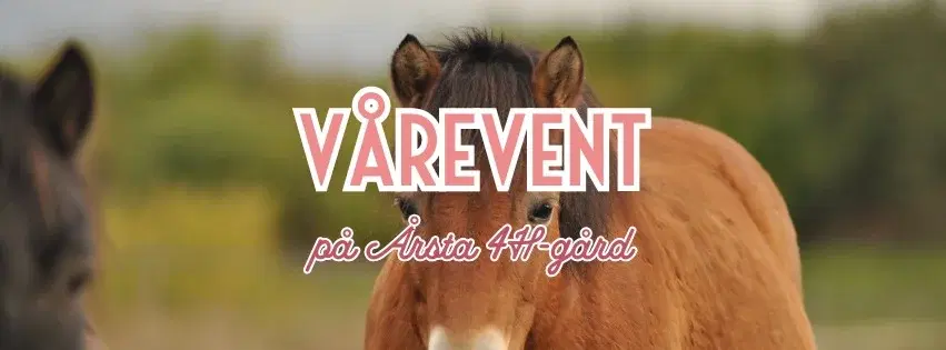Vårevent på Årsta 4H gård