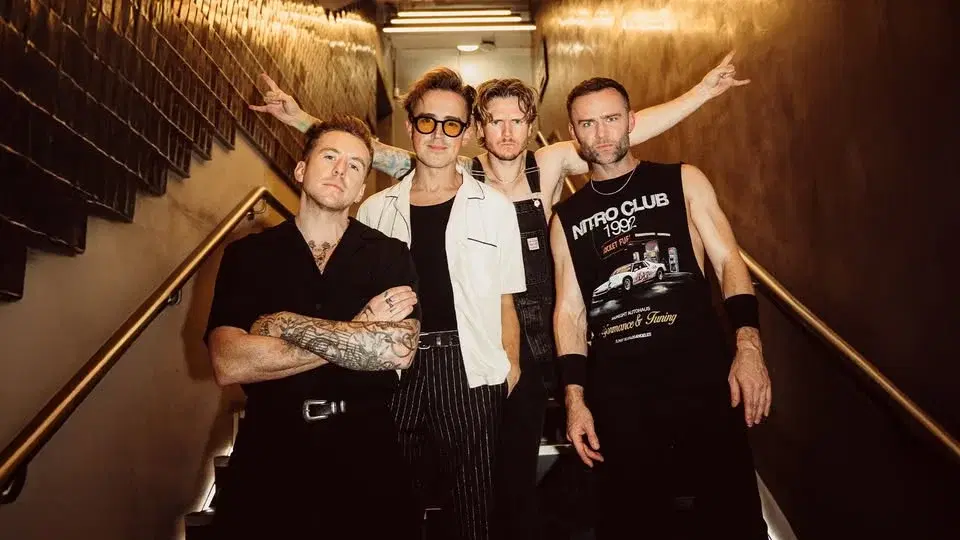 McFly - Delamere Forest