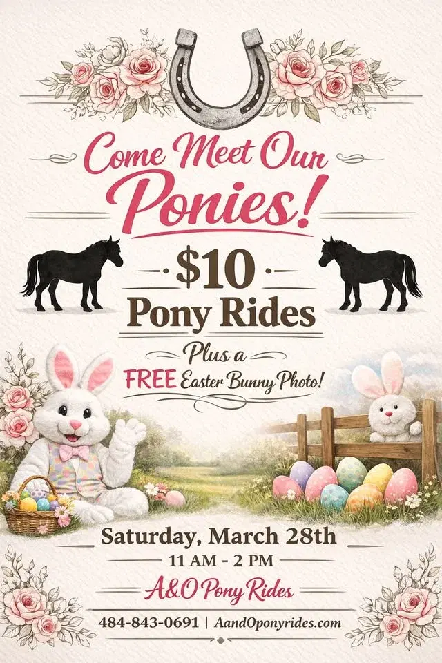 Meet and Greet with our Ponies!