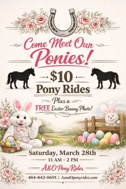 Meet and Greet with our Ponies!
