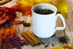 Glühwein- und Punschstand der FF-Eggenburg