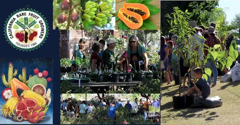 AZRFG 2026 Spring Plant Sale at Lehi Montessori School