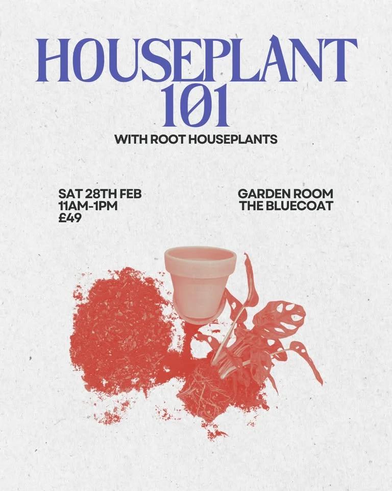 ROOT Houseplants: Houseplant 101