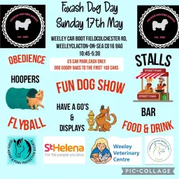 Foxash Dog Day