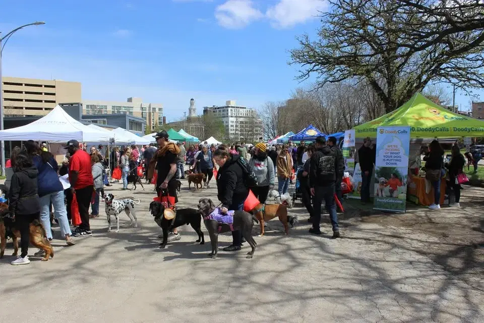 6th Annual Doggy Barket