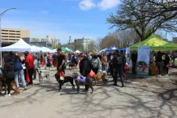 6th Annual Doggy Barket