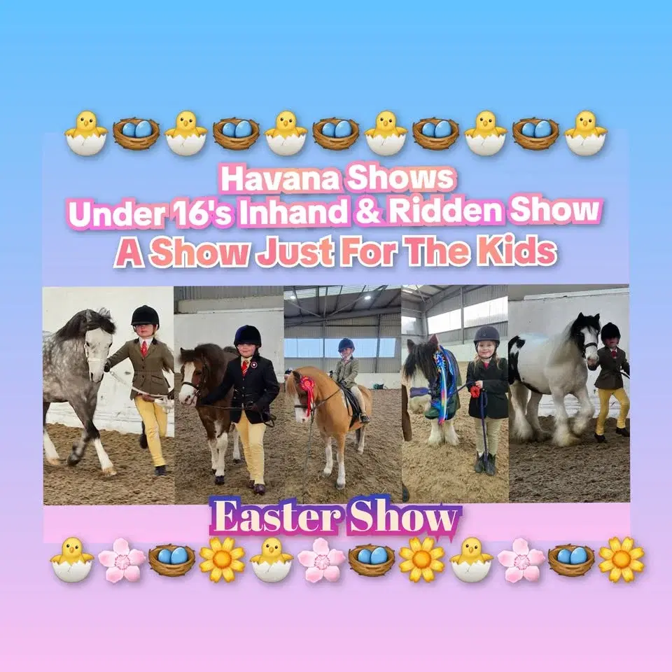 đŁđȘșEaster Under 16's Inhand & Ridden Show. A Show Just For The Kids by havana shows đŁđȘș