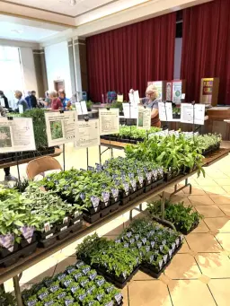 Webster Groves Herb Society Herb Sale