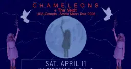 The Chameleons at the Magic Stick - Detroit, MI